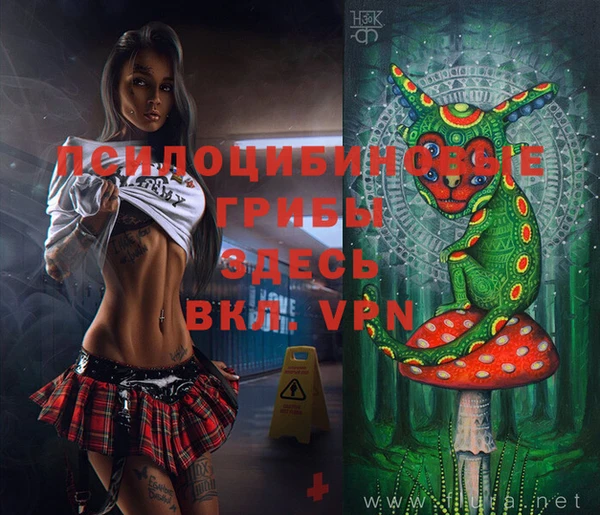 герыч Лиски