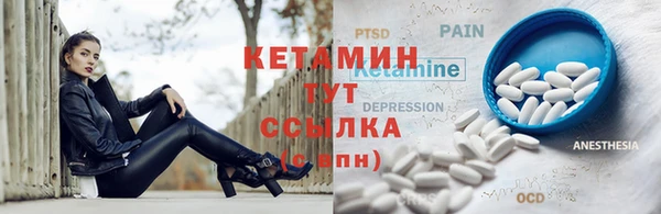 стаф Майский