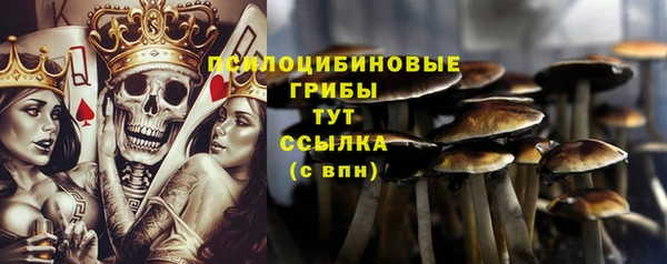 ГАЛЛЮЦИНОГЕННЫЕ ГРИБЫ Магас