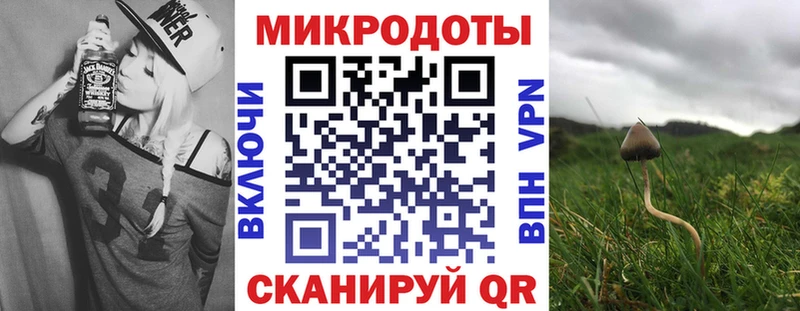кракен ТОР  Новый Уренгой  сайты даркнета наркотические препараты  Псилоцибиновые грибы мицелий 