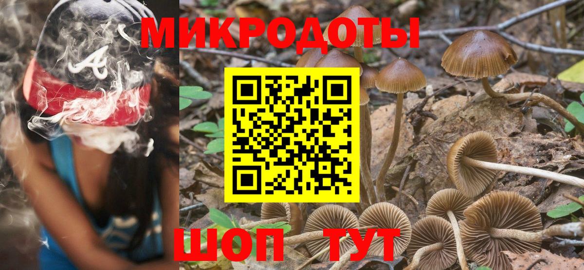 Псилоцибиновые грибы MAGIC MUSHROOMS  Вход с VPN  Новый Уренгой 